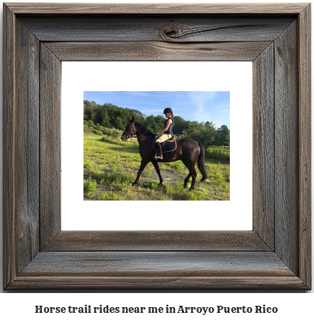 horse trail rides near me in Arroyo, Puerto Rico